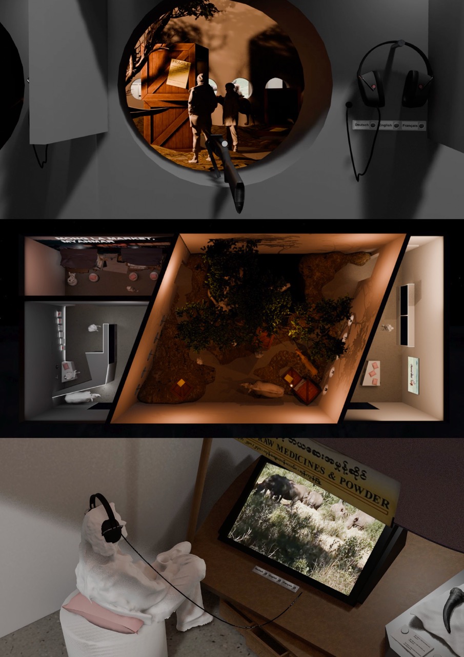 BETWEEN OPPOSITE LENSES